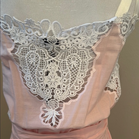 Miguelina Pink Lace Maxi Dress - Picture 9 of 15